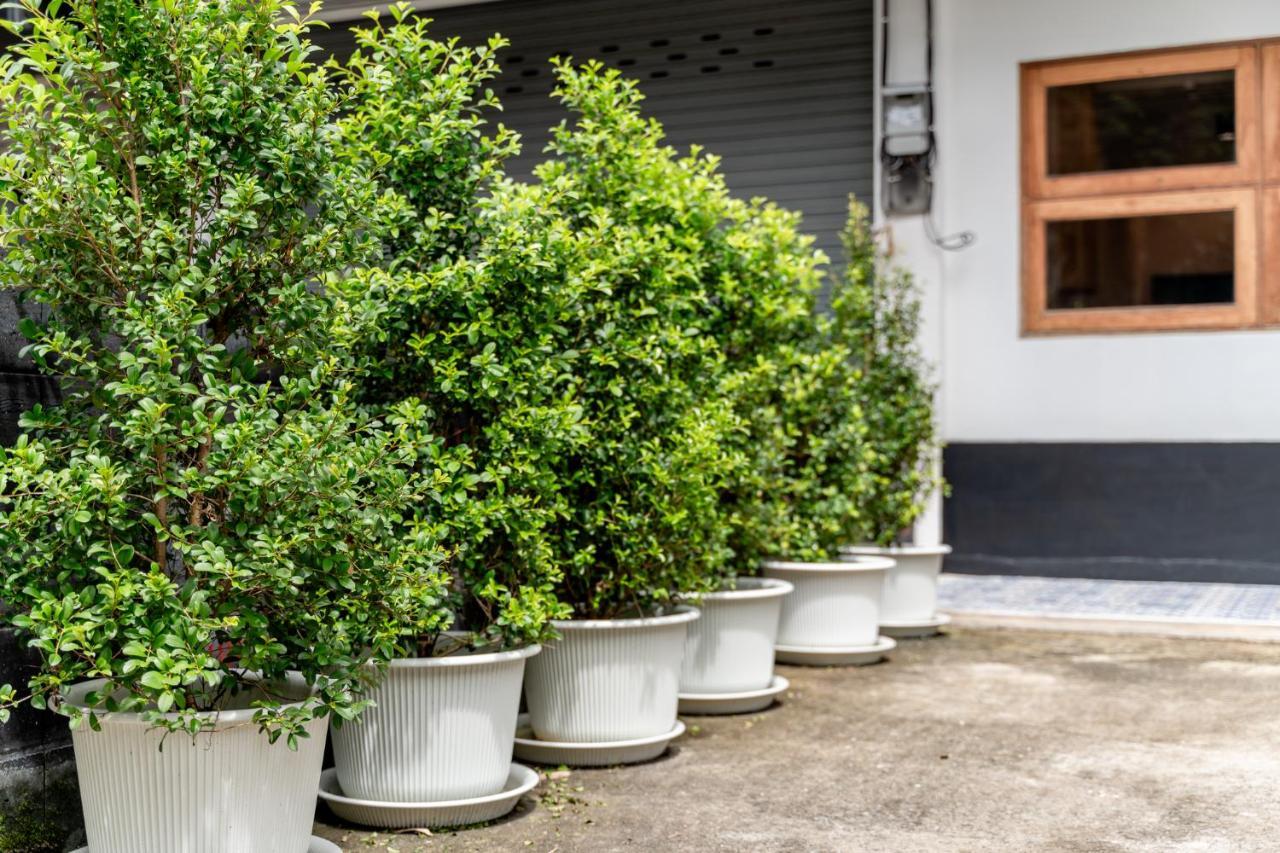 Socialer Coliving & Coworking Space Čiang Mai Exteriér fotografie